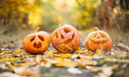 Fun Fall Family Festivities<br> In Sussex County