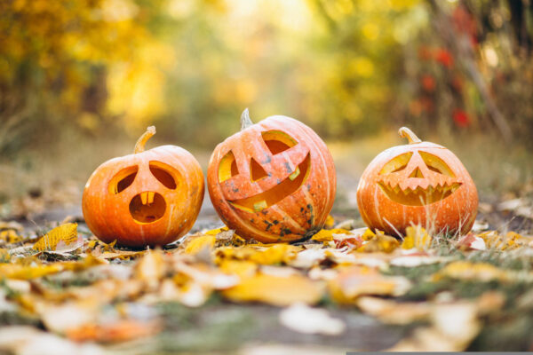Fun Fall Family Festivities<br> In Sussex County