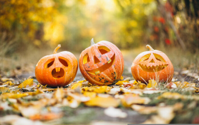 Fun Fall Family Festivities<br> In Sussex County