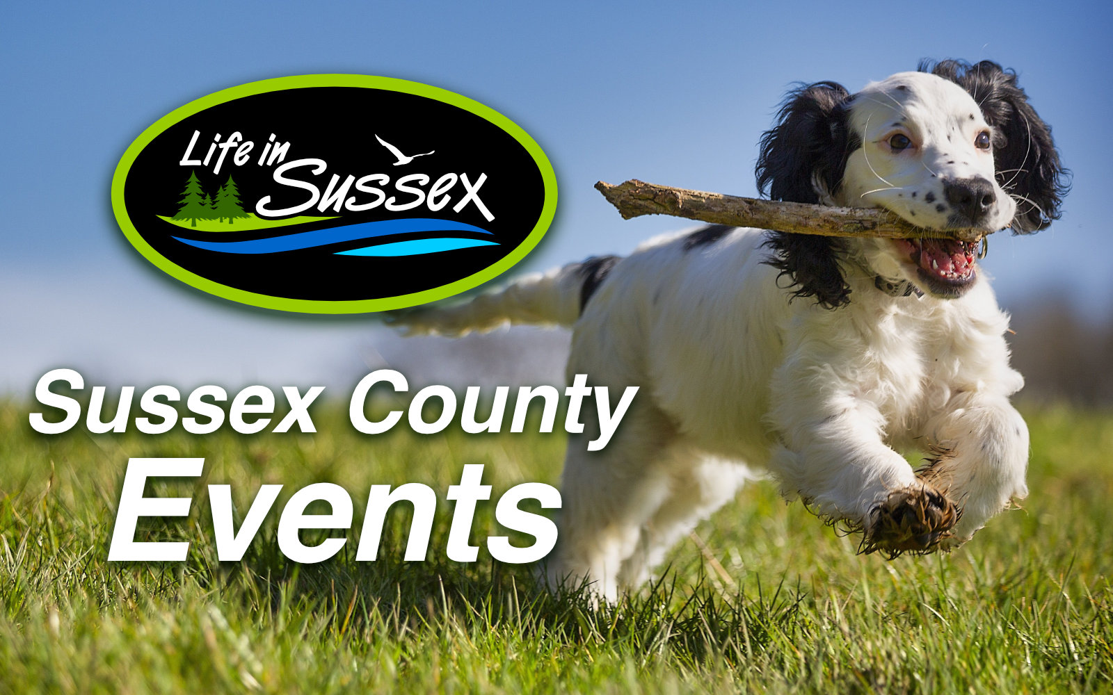 Events Life In Sussex Serving the Communities of Sussex