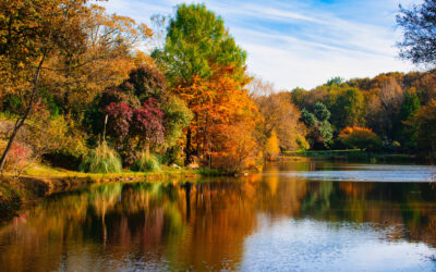 Great Places to View<br> Fall Foliage in Sussex County