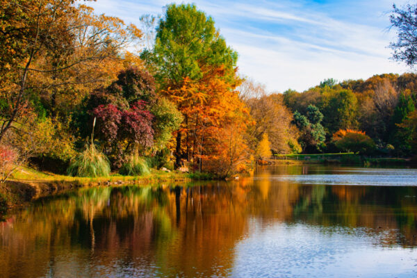 Great Places to View<br> Fall Foliage in Sussex County